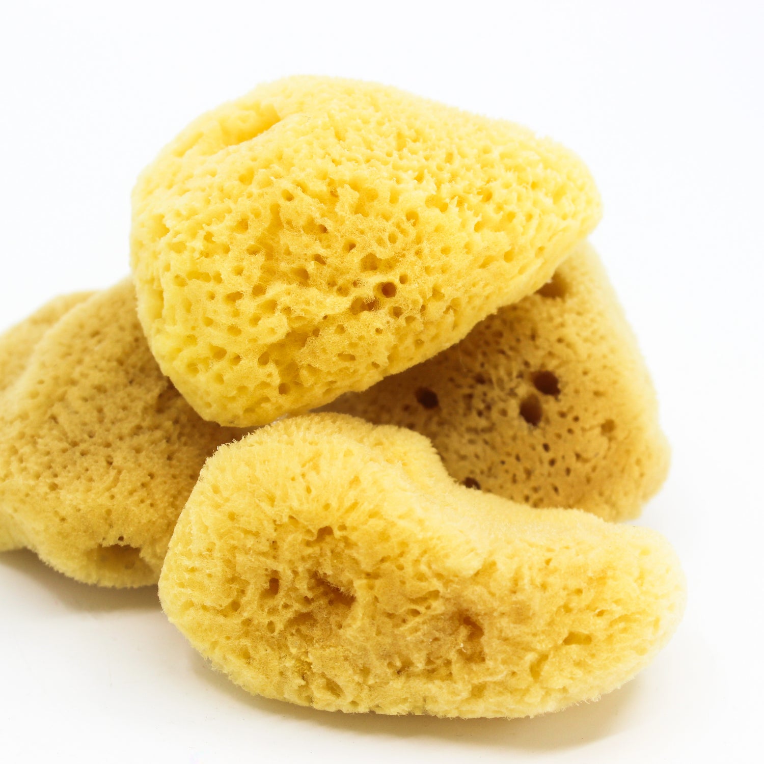 Cosmetic Sponge