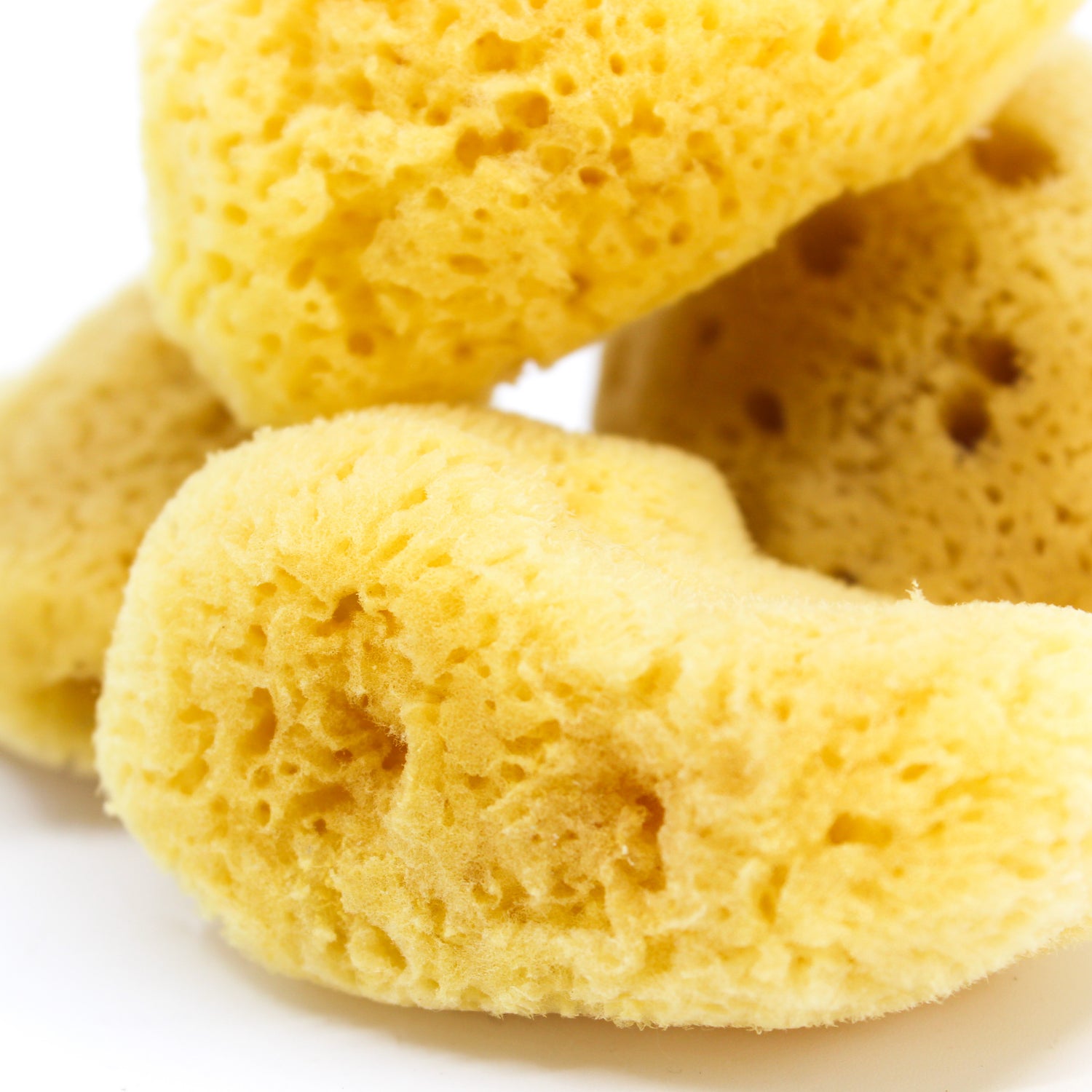 Cosmetic Sponge