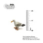 Little Critterz™ - Birds & Butterflies
