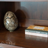 Peek-a-Boo Septarian Dragon Egg