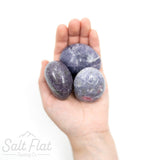 Lepidolite Palm Stone