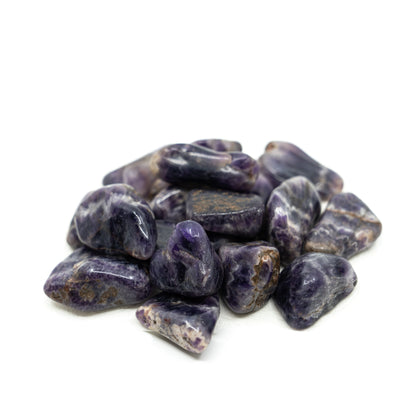 Moroccan Amethyst Palm Stone