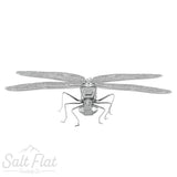 Metal Earth Models- Spiders & Insects