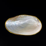Silver Clam- Golden Edge