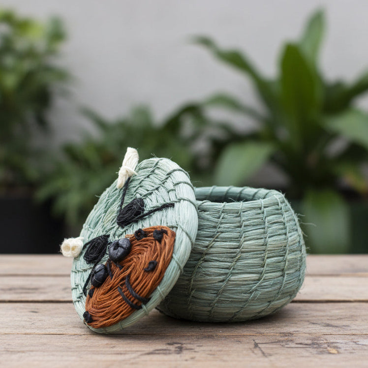 Mini Lidded Baskets