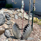 Medium Venus Fly Trap