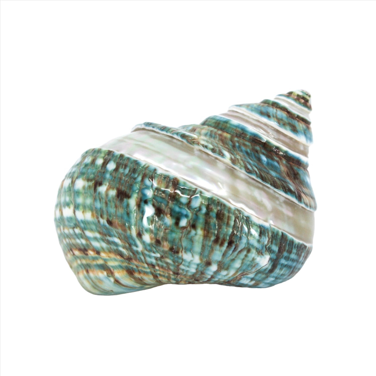 Jade Turbo Spiral 2-3"