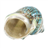 Jade Turbo Spiral 2-3"