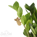 Plant Animals