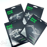 Metal Earth Models- Dinosaurs