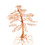 Medium Redwood Wire Tree