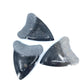 4'' Marble Megalodon Tooth