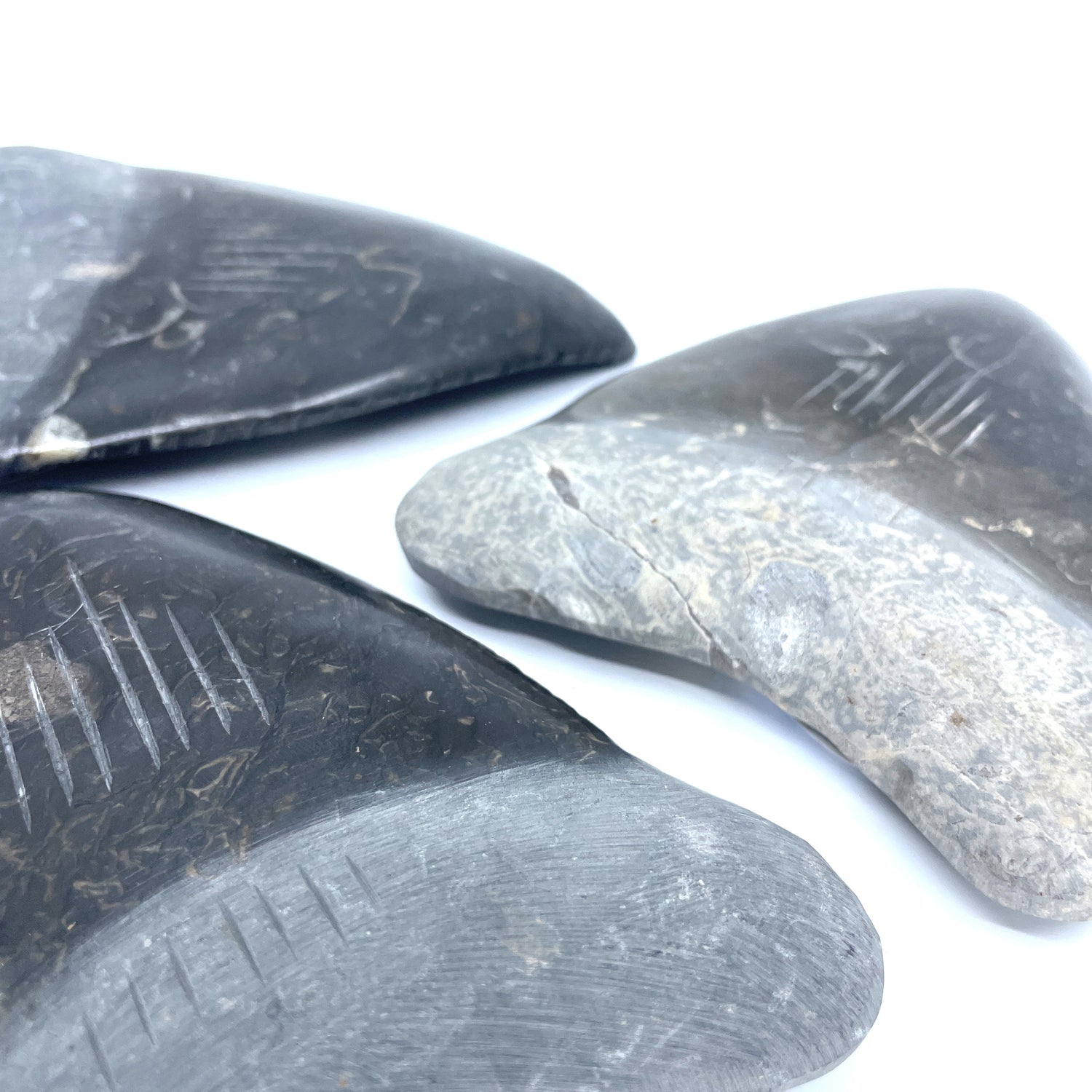 4'' Marble Megalodon Tooth