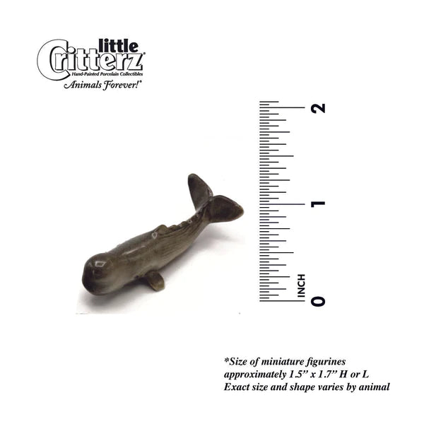 Little Critterz™ - Sealife