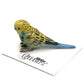 Little Critterz™ - Birds & Butterflies