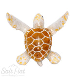 Little Critterz™ - Sealife