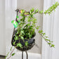 Recycled Metal Ostrich Bowl