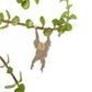 Plant Animals