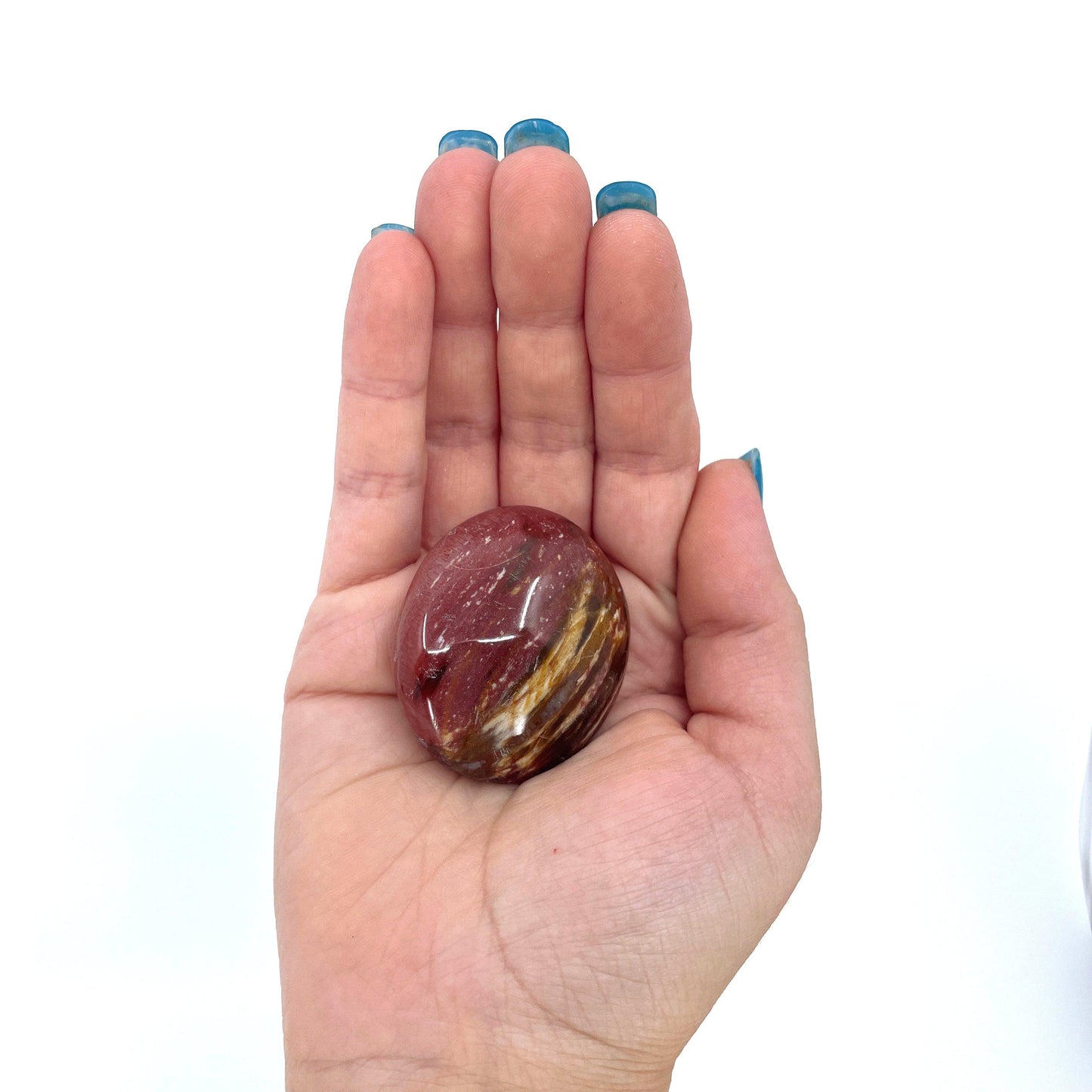 Petrified Wood Palm Stone