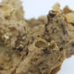 Pipe Sponge