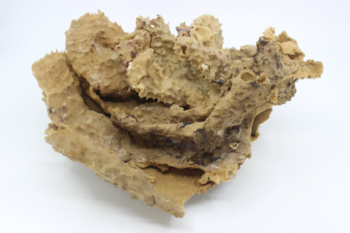 Pipe Sponge
