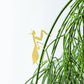 Plant Animals