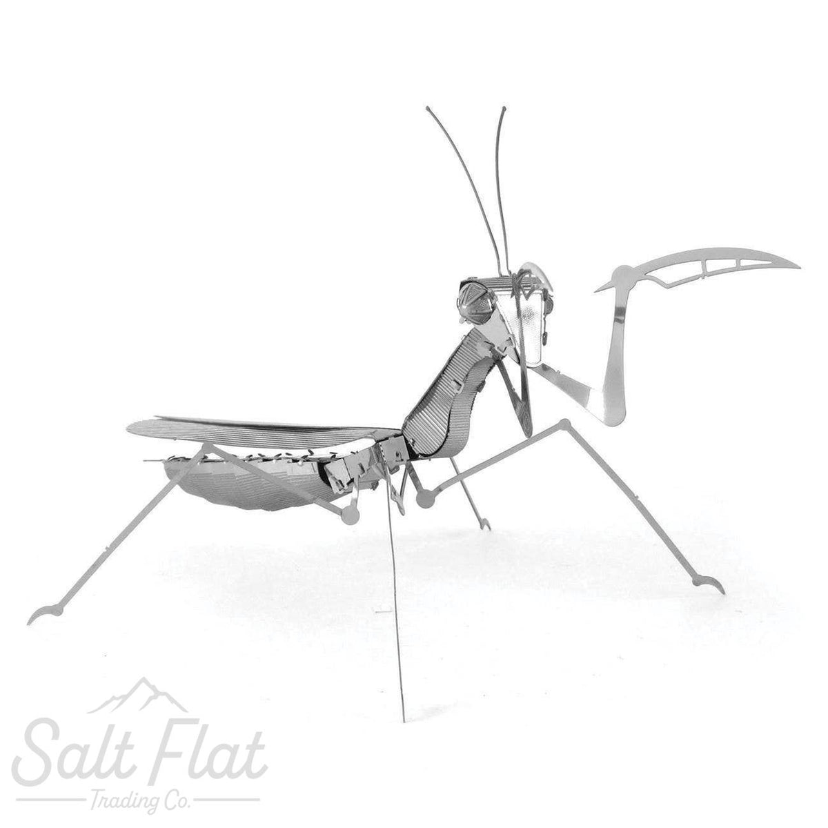 Metal Earth Models- Spiders & Insects