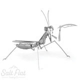 Metal Earth Models- Spiders & Insects