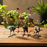Seedpod Birds