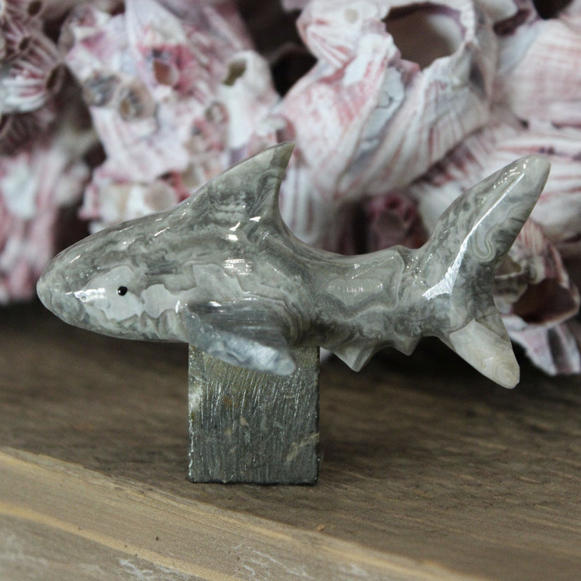 2'' Marble Shark With Stand