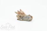 Crystal Dragon Skull