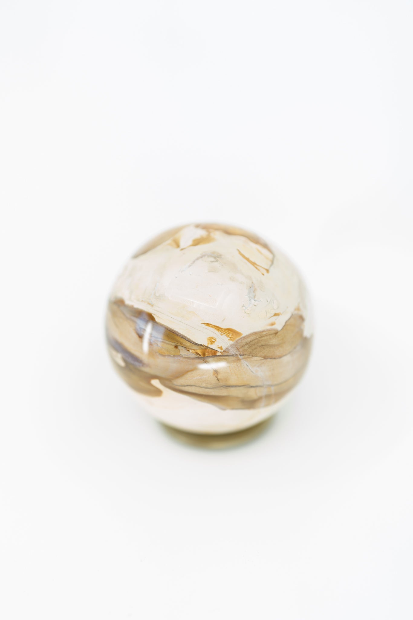 Petrified Wood Sphere