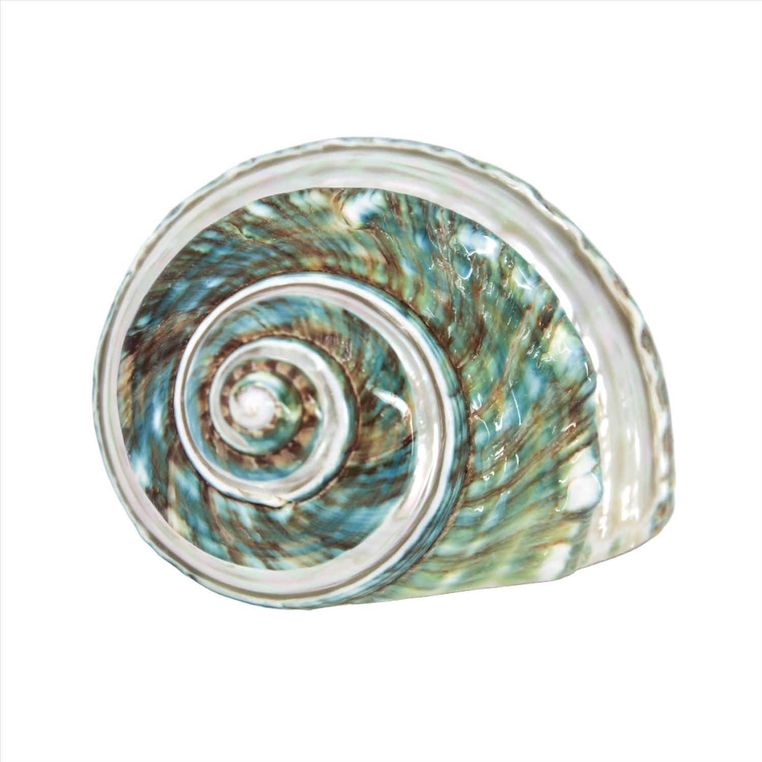 Jade Turbo Spiral 2-3"