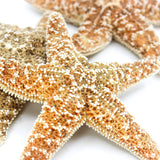 Sugar Star