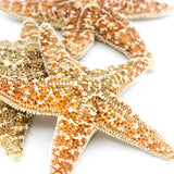 Sugar Star