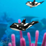 Little Critterz™ - Sealife