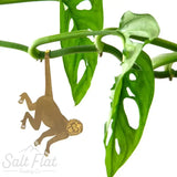 Plant Animals