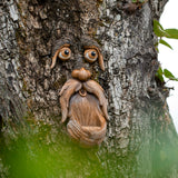 Tree Face