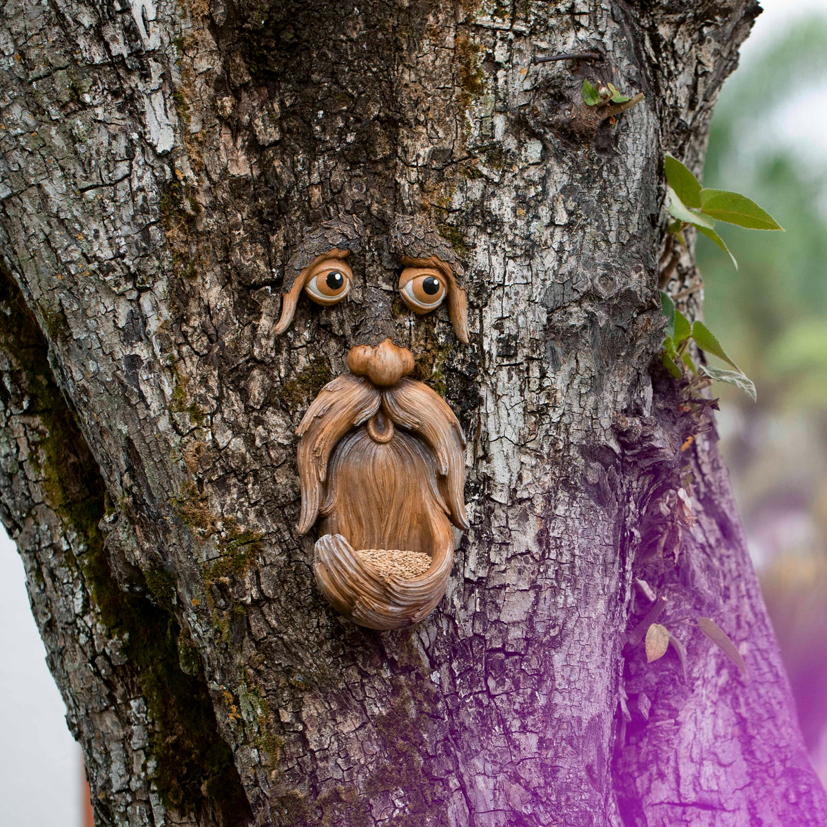 Tree Face