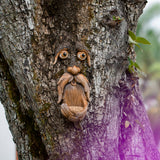 Tree Face