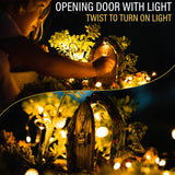 Fairy Door & Windows- Open Door