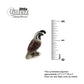 Little Critterz™ - Birds & Butterflies