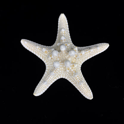 4-5" White Nobby Star