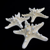 4-5" White Nobby Star