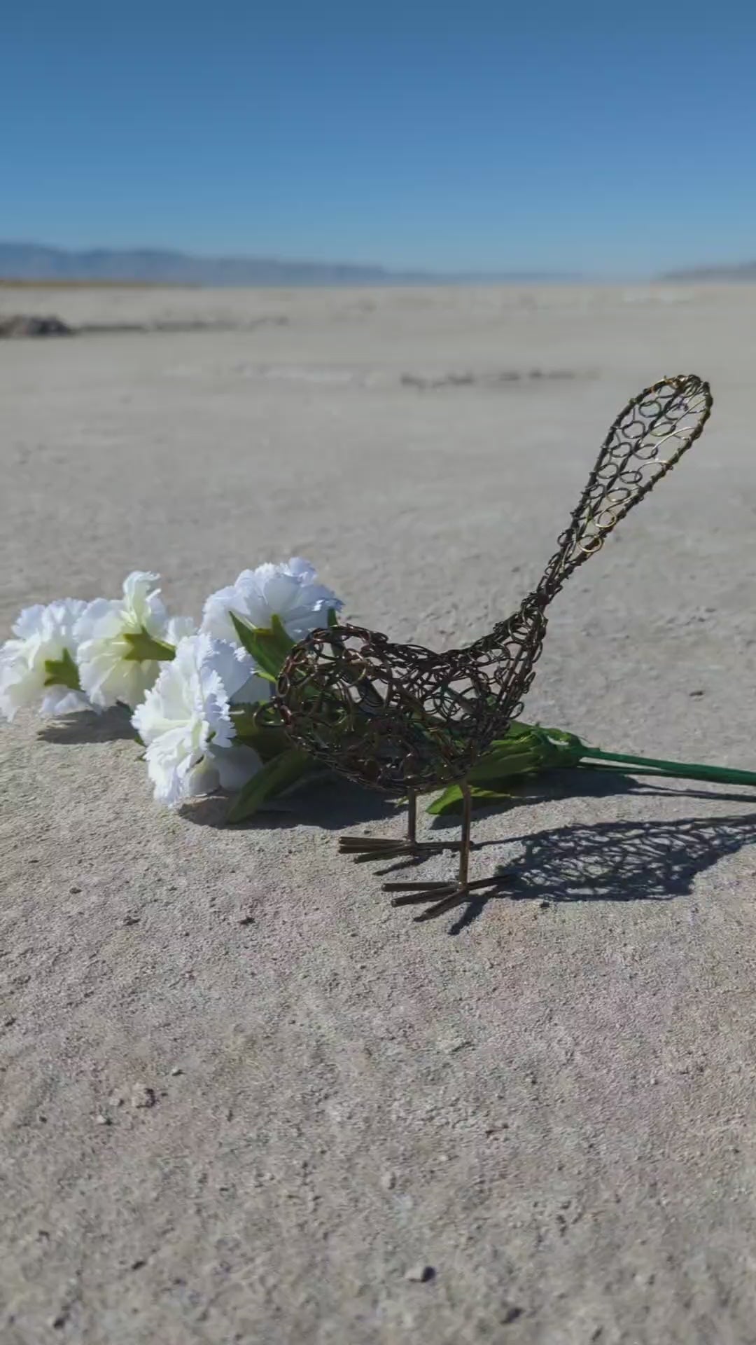 Wrapped Wire Bird