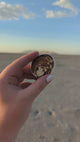 Cat's Eye Rough Shell