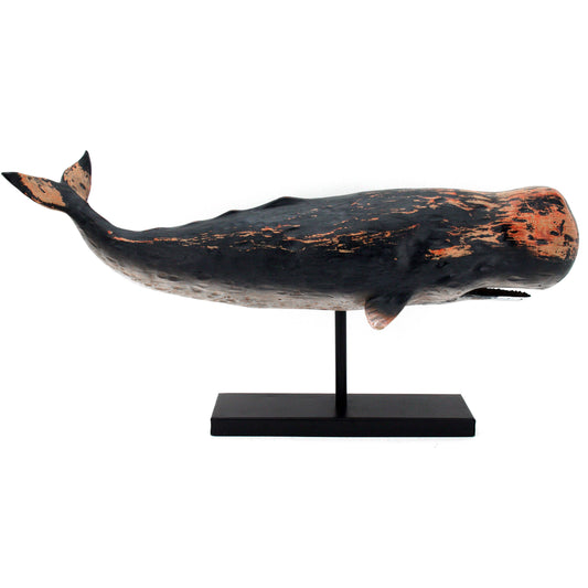 Sperm Whale Trophy