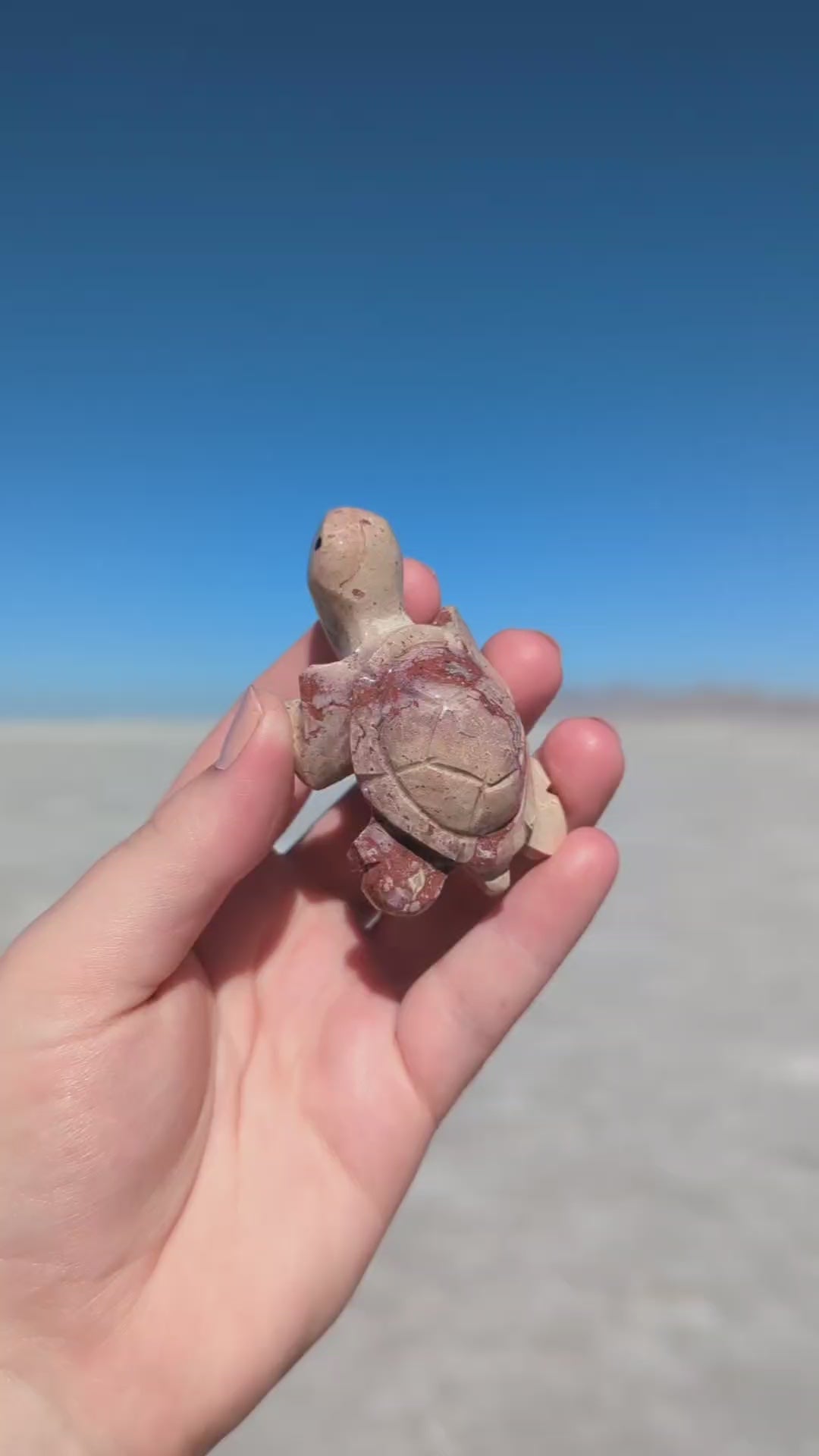 2'' Marble Tortoise