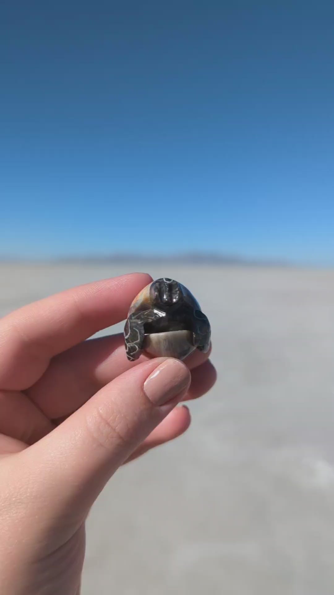 1" Marble Hatching Turtle