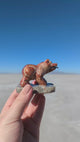2'' Marble Bear with Fish